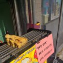 천지당약국 이미지