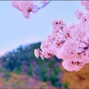 사계절 이미지