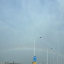 푸릇푸릇 | 부산 아난티 푸릇푸릇프렌즈 빠시를 찾아서/ 아난티 트리후기