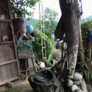 도곡농장 이미지