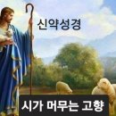 마태오복음서[13장1절-50절] 이미지