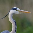 지에스(GS25)신금호점 이미지