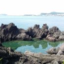 백록정궁도장 이미지