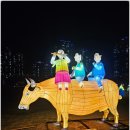 청라 문화1공원 풋살장 | [인천/청라] 청라호수공원에서 만난 빛의 향연, '진주유등특별전' 일정 및 유래 총정리!