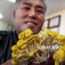 호암농산