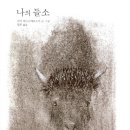 들소 이미지