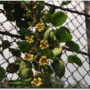 대가약수터 이미지