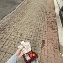 팀하드 피티 이미지