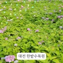 한밭어린왕자 이미지