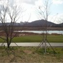 (주)성담솔트베이 이미지