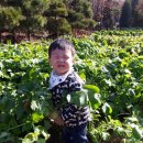 준영농장 이미지