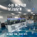 수원애견카페추천 보고싶당개 후기