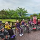 소풍(동행) 이미지