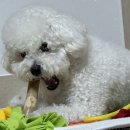 헬로우 그루밍 이미지