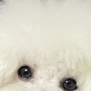 디스케치