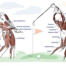 아레스짐&필라테스 혁신도시점 이미지