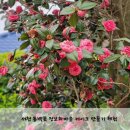 나만의 타르트만들기 이미지