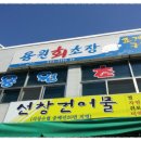 용원회초장