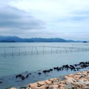 남파랑길 84코스 ( 2025년 9월 24일 ) 이미지