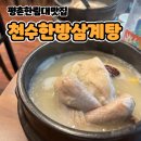 천수한방삼계탕(평촌점) | [평촌 한림대성심병원 맛집] 건강한 한 끼가 필요한 날엔, ‘천수한방삼계탕’ 추천