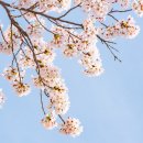 운암우리들약국 | 돈벌어서 소니랑 병원에 바치는 4월