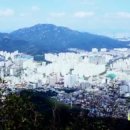 제일 행정 닷컴 이미지