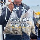 한빛 | 🎣 군산 쭈꾸미 낚시 시즌 시작, 부평 한빛낚시 출조 후기