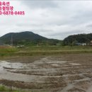 수곡보건진료소 네이버블로그