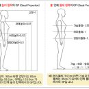 이상적인 몸무게 환산방법, 몸매 수치 이미지