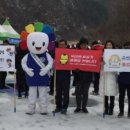 홍천군선거관리위원회 이미지