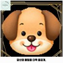 회현동 작은도서관 | 도촌동 애견카페 올리브펫 가격 및 후기 추천 리뷰 주차 예약 알아볼까요
