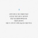 나의 소중한, 오늘 이미지