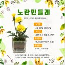 파스텔크래프트남대문