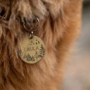 루원 센트럴 동물의료센터 이미지