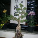 금오농업협동조합 진교지점 이미지