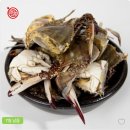 정다운식품 이미지