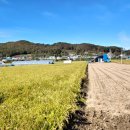 신도3리 이미지