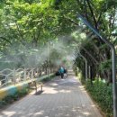 도림목재 이미지