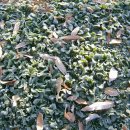 동면농장 이미지