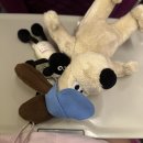 샵돌봄 | 이거 11월에 올라가야 하는 건데;; 언제 12월 됐냐