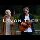 C&Tree