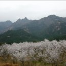 왕인박사유적지 이미지