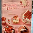 투썸플레이스 디저트 포장 후기 (신메뉴)