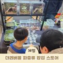 리버스토어 | 강동 더리버몰 파충류 서식지 팝업스토어, 아이랑 도마뱀·뱀·거미 체험 솔직후기