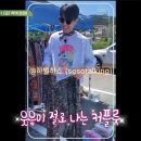 톰그레이하운드 이미지