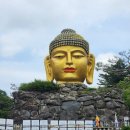 신나는 날 | 용인에 동남아 같은 사찰이 있어요 ㅣ 와우정사 가족 나들이 후기 (입장료 무료) 🪷