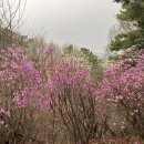 도마치근린공원 이미지