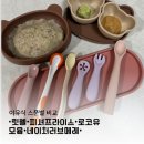 굿프라이스 | 초기이유식스푼 비교 정리! •릿첼•피셔프라이스•로코유•모윰•네이처러브메레•
