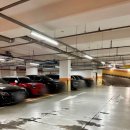 양꼬치 칭따오 | 파주 운정 양꼬치 맛집 산내마을양꼬치&amp;칭따오 - 산내마을 맛집 후기