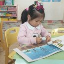 식물들의 소통 이미지